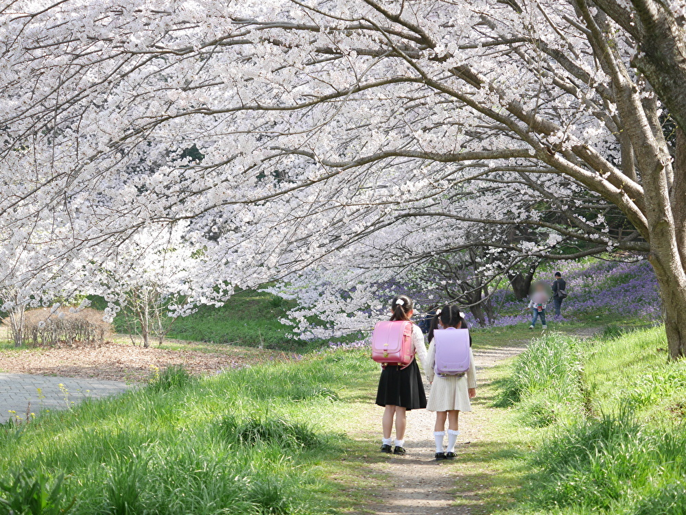 長津川緑地:徒歩16分:1993年にオープンした7276㎡ある都市緑地。桜の季節にはたくさんの花見客であふれ、四季の変化を感じられる癒しの公園。1周約1km、多くのウォーカーやランナーが毎日楽しみます